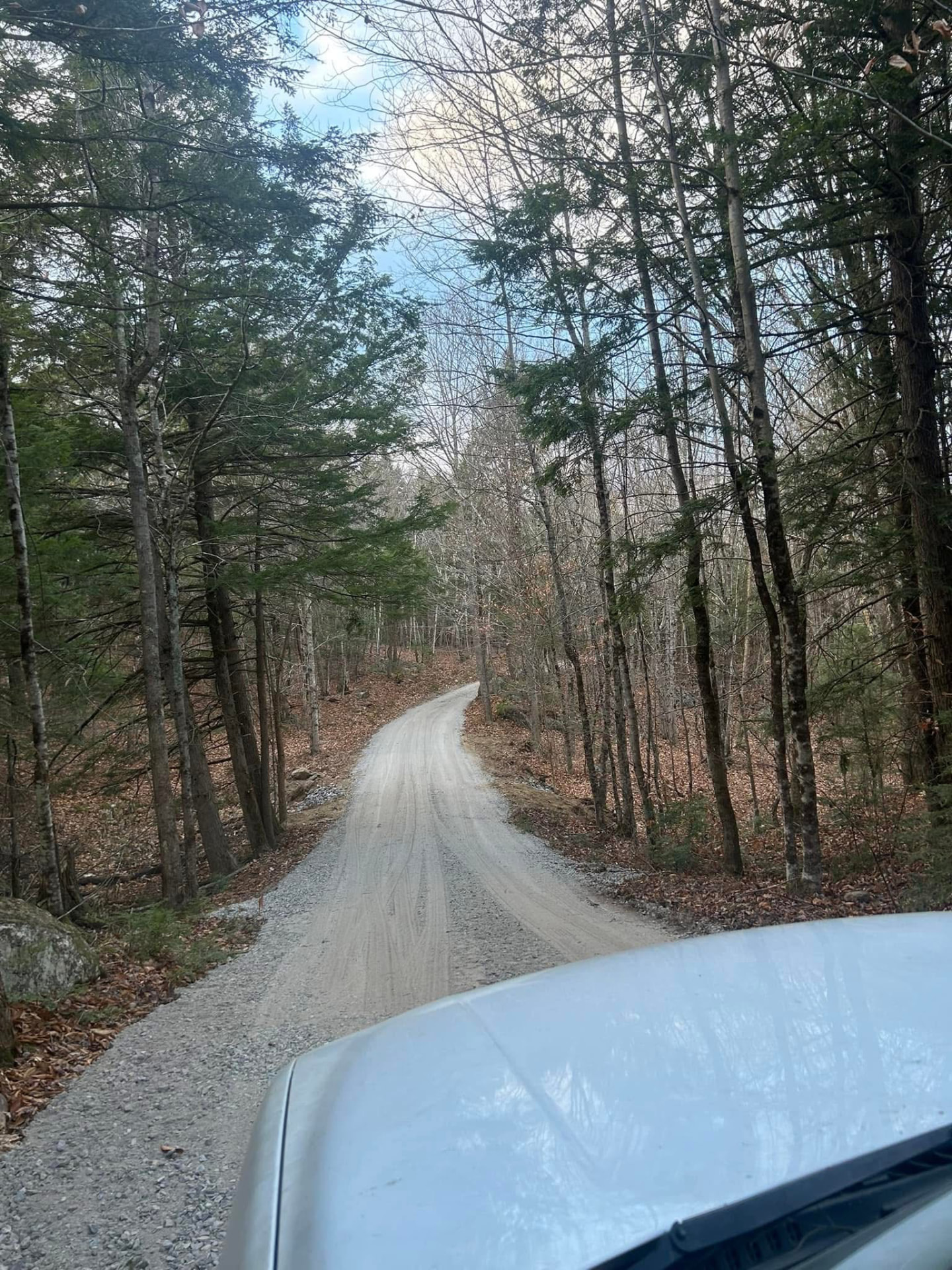 Newly graded gravel road through the Maine woods